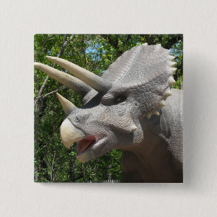 Triceratops Dinosaurs 15 Cm Square Badge