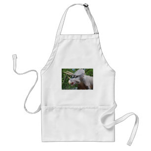 Triceratops/Dinosaurs Standard Apron