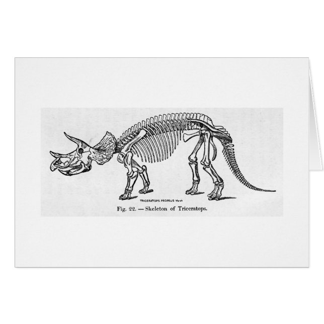 Triceratops skeleton art card (Front Horizontal)