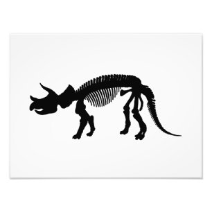 Triceratops skeleton photo print