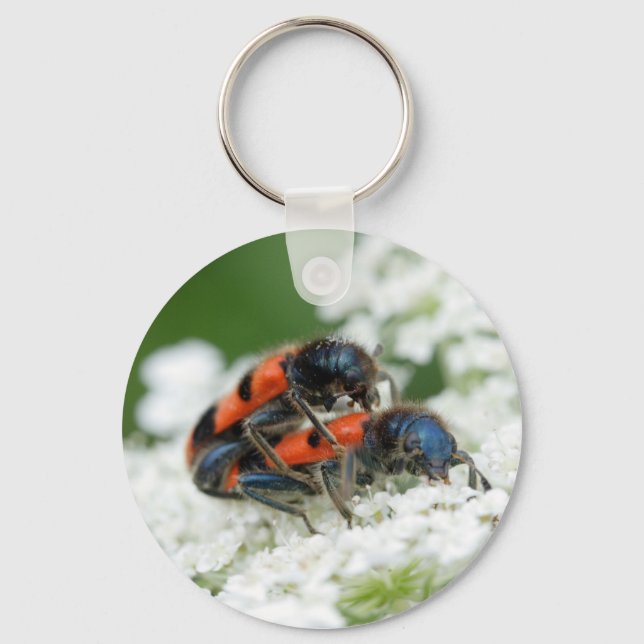 Trichodes apiarius key ring (Front)