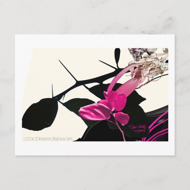 Trichome Postcard (Front)