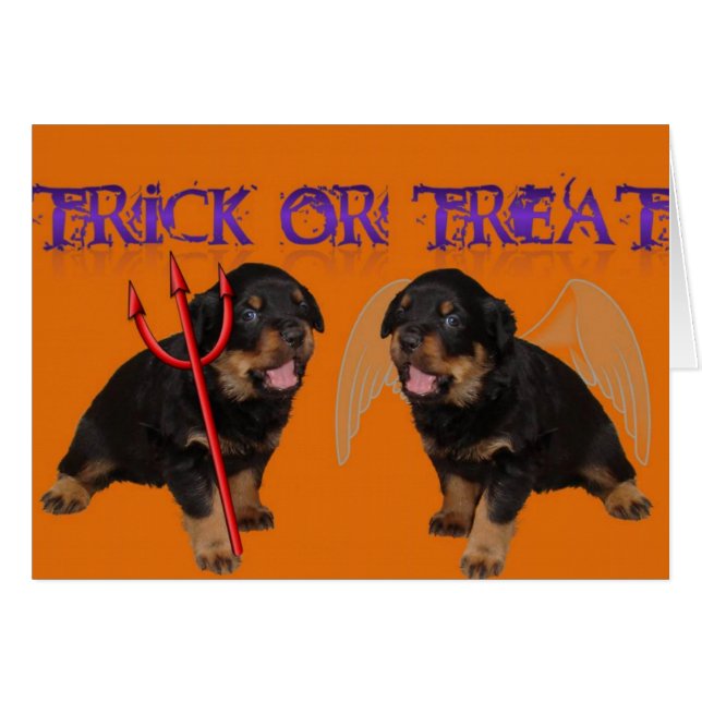 Trick or Treat (Front Horizontal)