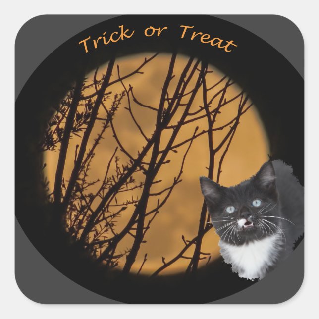Trick or treat  black cat & moon Halloween  Square Sticker (Front)