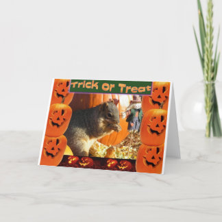 Trick or Treat Card