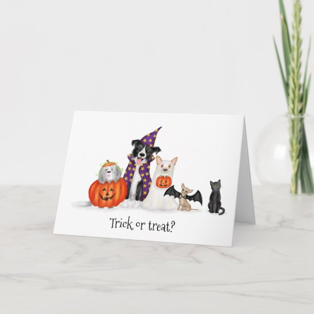 Trick or treat? Dogs in costume Halloween card (Front)