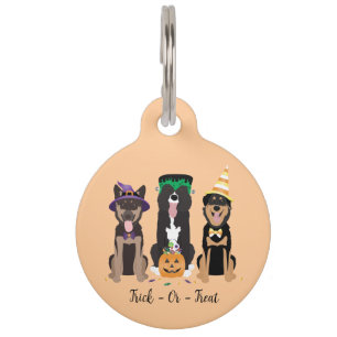 Trick Or Treat Dogs In Halloween Costumes Pet Tag