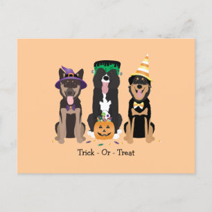 Trick Or Treat Dogs In Halloween Costumes Postcard