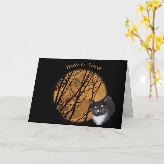 Trick or treat Halloween black cat & moon  Card (Yellow Flower)
