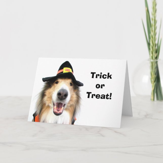 Trick or Treat! Halloween Cards (Front)