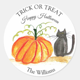 Trick or Treat Halloween Pumpkin Cat Cute Classic Round Sticker