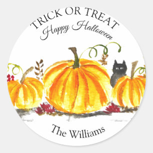 Trick or Treat Halloween Pumpkin Cat Cute Classic Round Sticker