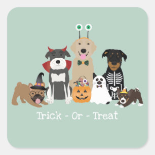 Trick Or Treat Happy Halloween Spooky Pet Costumes Square Sticker