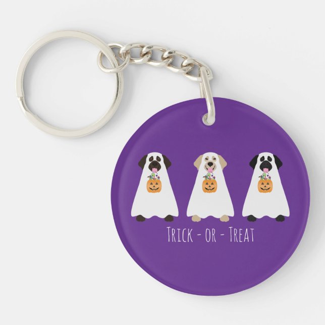 Trick Or Treat Labrador Retriever Ghost Dogs Key Ring (Front)