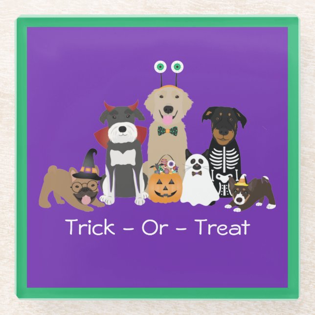 Trick Or Treat Pets Halloween Costumes Glass Coaster (Front)