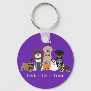 Trick Or Treat Pets Halloween Costumes Key Ring
