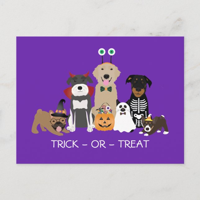 Trick Or Treat Pets Halloween Costumes Postcard (Front)