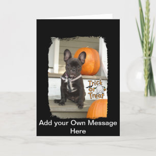 Trick or Treat Pup Card