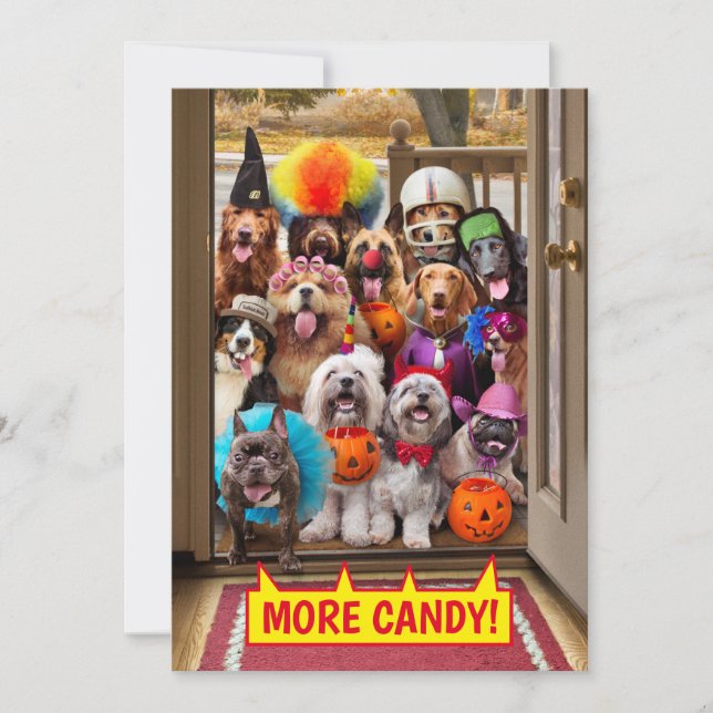 Trick-or-Treating Dogs Invitation (Front)