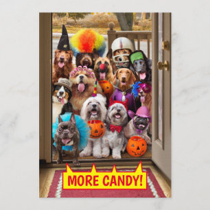 Trick-or-Treating Dogs Invitation