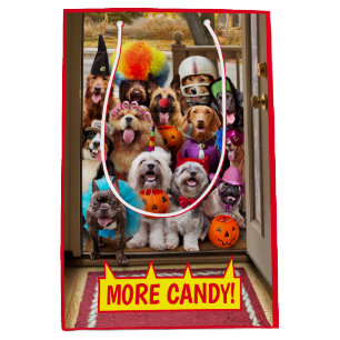 Trick-or-Treating Dogs Medium Gift Bag