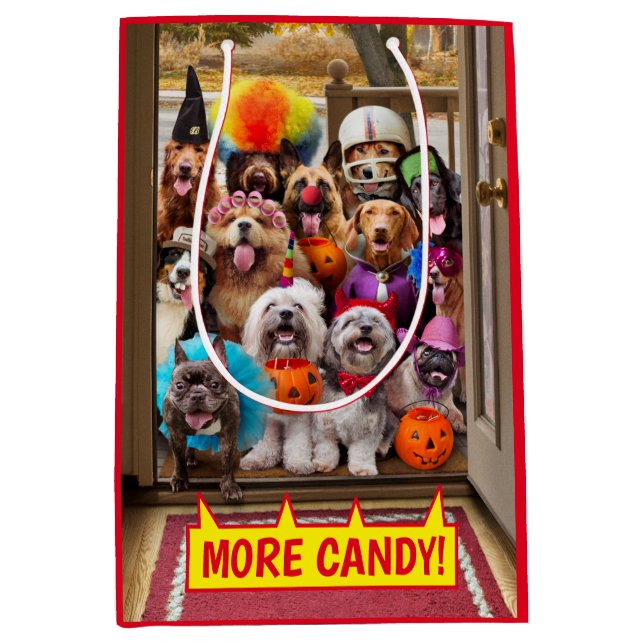 Trick-or-Treating Dogs Medium Gift Bag (Front)