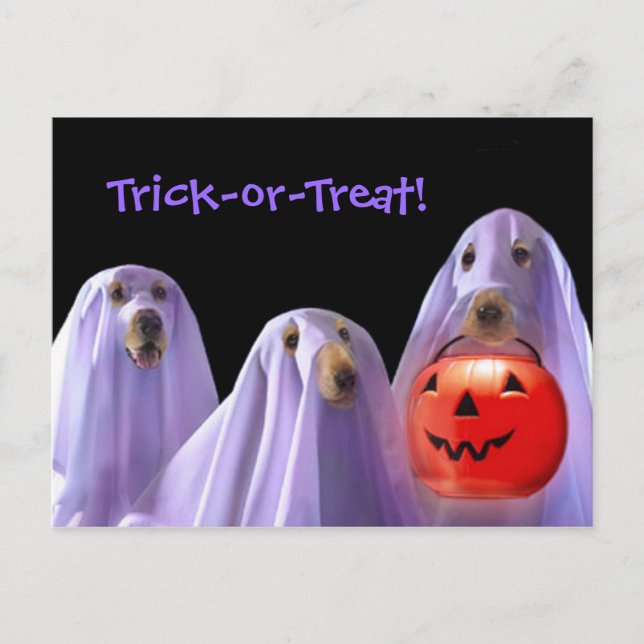 Trick-or-Treating Ghost Dogs Halloween  Postcard (Front)