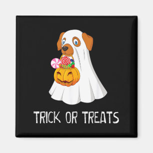 Trick Or Treats Funny Ghost Dog Cute Halloween Ns Magnet