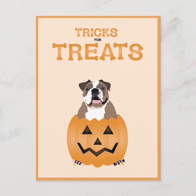Tricks For Treats English Bulldog Orange Holiday Postcard (Front)
