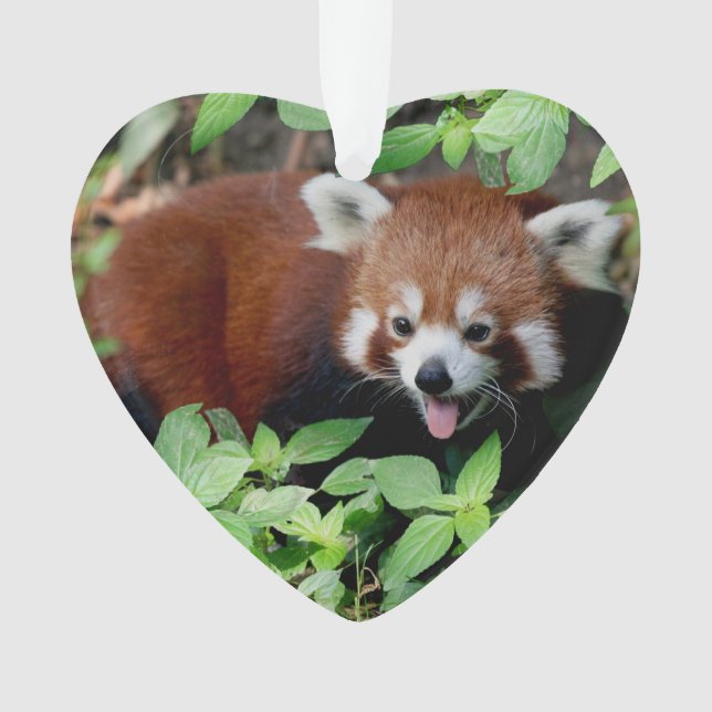 Tricksy Red Panda, Customisable Ornament (Front)