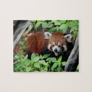 Tricksy Red Panda Jigsaw Puzzle
