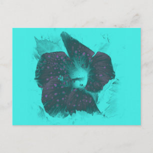 Tricolor Abstract Hibiscus Postcard