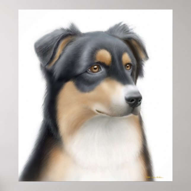 Tricolor Australian Shepherd Poster (Front)