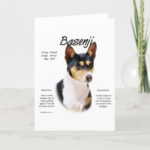 Tricolor Basenji History, All about Basenjis Holiday Card