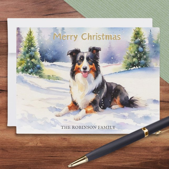 Tricolor Border Collie Dog In Snow Merry Christmas Holiday Card (A Christmas card with picture of a tricolor border collie dog in a winter snow scene with evergreens)