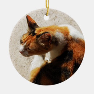 Tricolor Cat Ornament