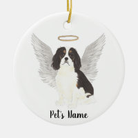 Tricolor Cavalier King Charles Spaniel Sympathy