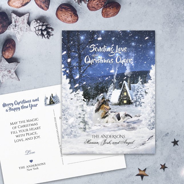 Tricolor Collie & Lambs in Snowy Night - Holiday   Postcard (Creator Uploaded)