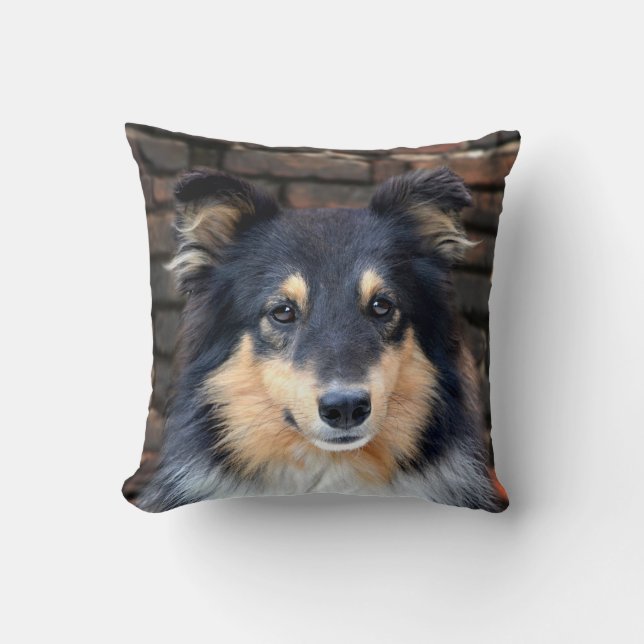 Tricolor Sheltie Cushion (Front)