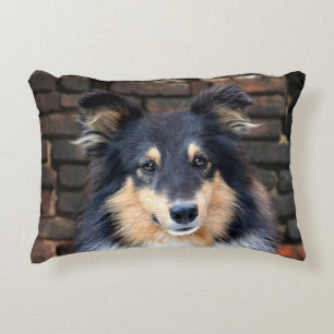 Tricolor Sheltie Decorative Cushion