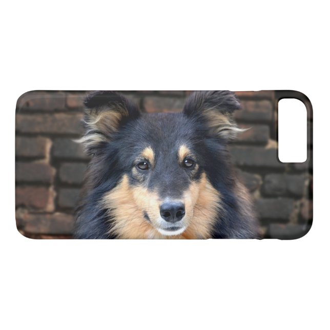 Tricolor Sheltie face Case-Mate iPhone Case (Back (Horizontal))