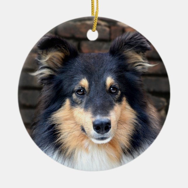 Tricolor Sheltie face Ceramic Tree Decoration (Front)
