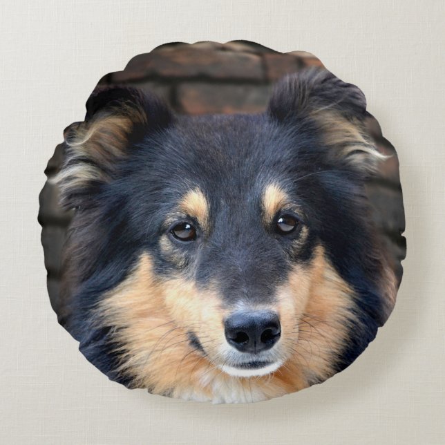 Tricolor Sheltie Round Cushion (Front)