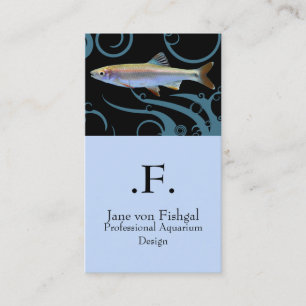 Tricolor Shiner Business Card