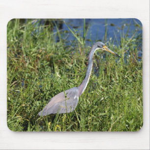 Tricolored Heron Mouse Mat