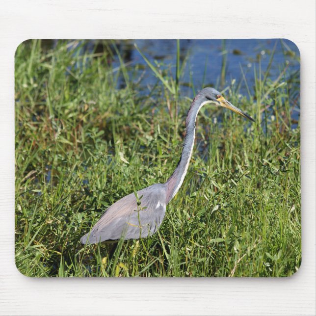 Tricolored Heron Mouse Mat (Front)