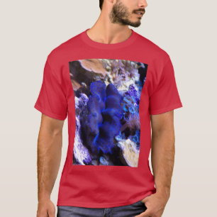 Tridacna crocea clam T-Shirt