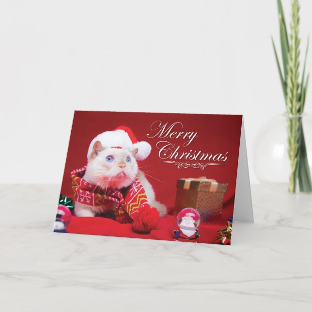 Trident the Cat Christmas Card (Front)