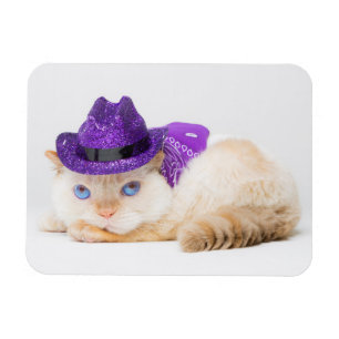 Trident the Cat Magnet 05