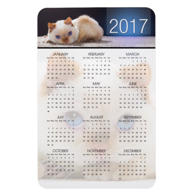 Trident the Cat Magnetic Calendar 01 Magnet (Vertical)